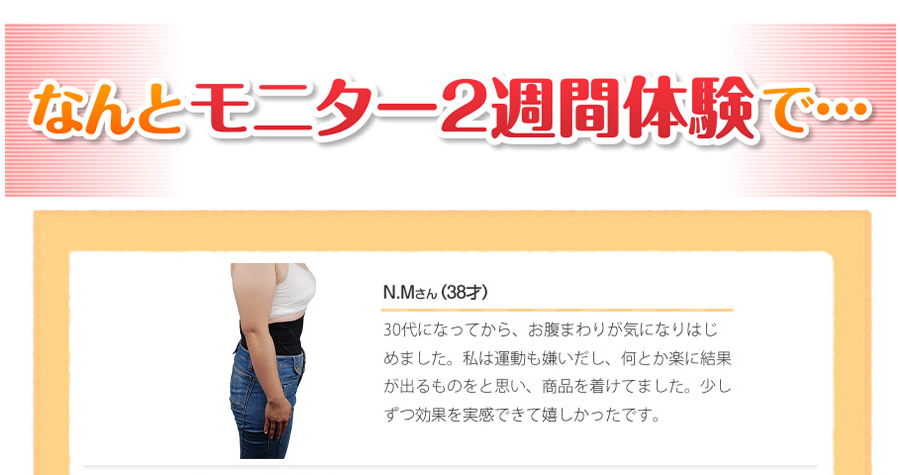 �u�A�b�v�V�F�C�p�[�̃��j�^�[2�T�ԑ̌��@