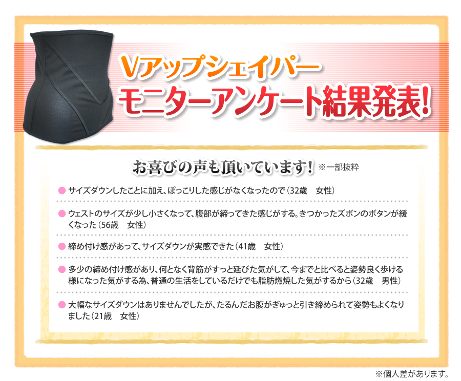 �u�A�b�v�V�F�C�p�[���j�^�[�A���P�[�g���ʔ��\